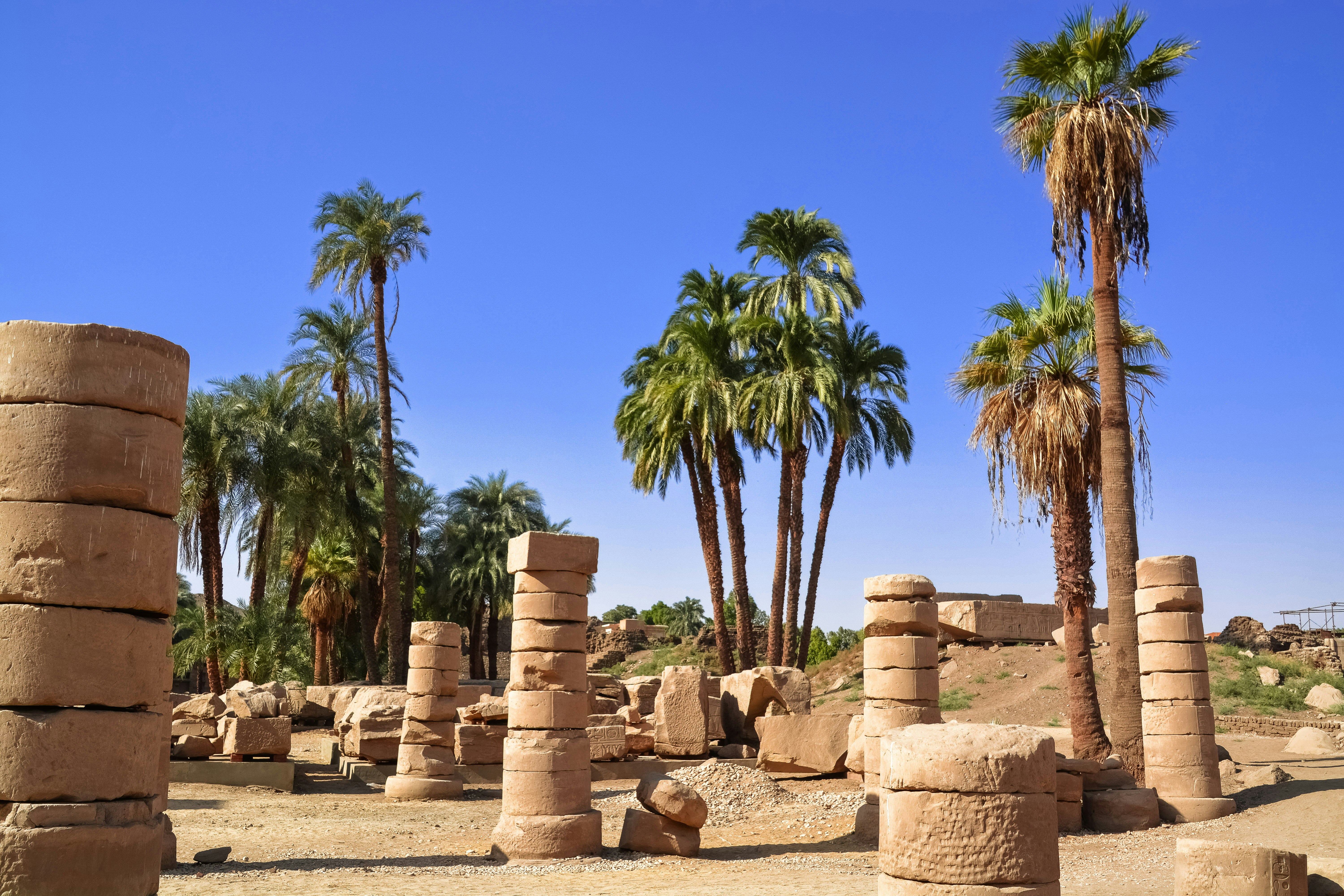 brown rock formation near green palm trees during daytime